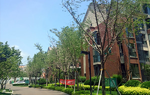 万科生态城